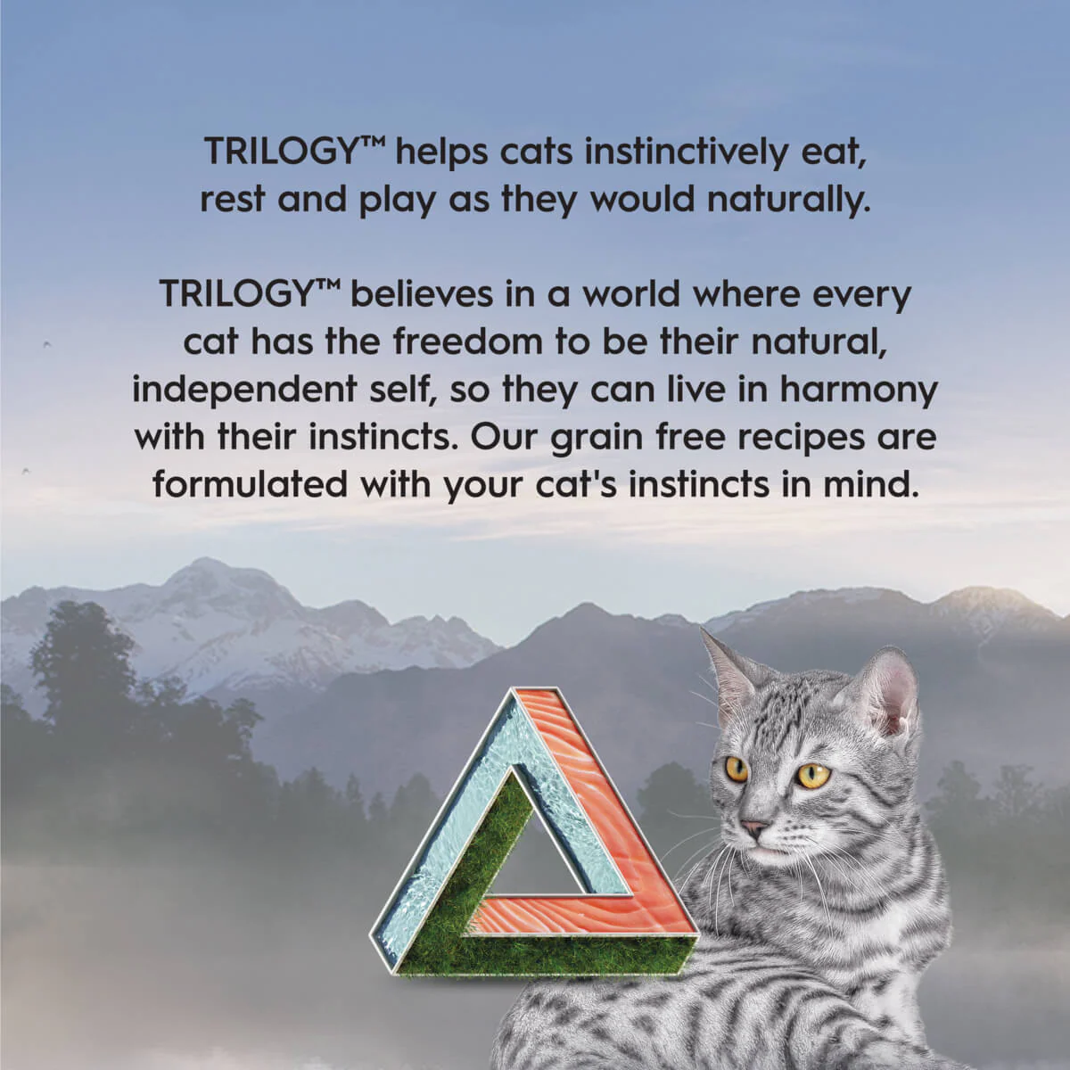 Trilogy Adult Wild Alaskan Salmon in Bone Broth Wet Cat Food - Image 16
