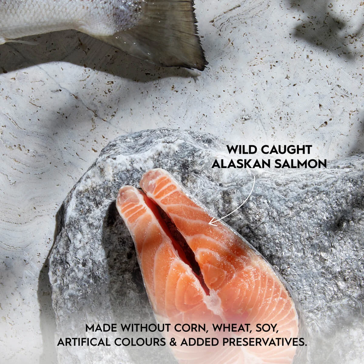 Trilogy Adult Wild Alaskan Salmon in Bone Broth Wet Cat Food - Image 6