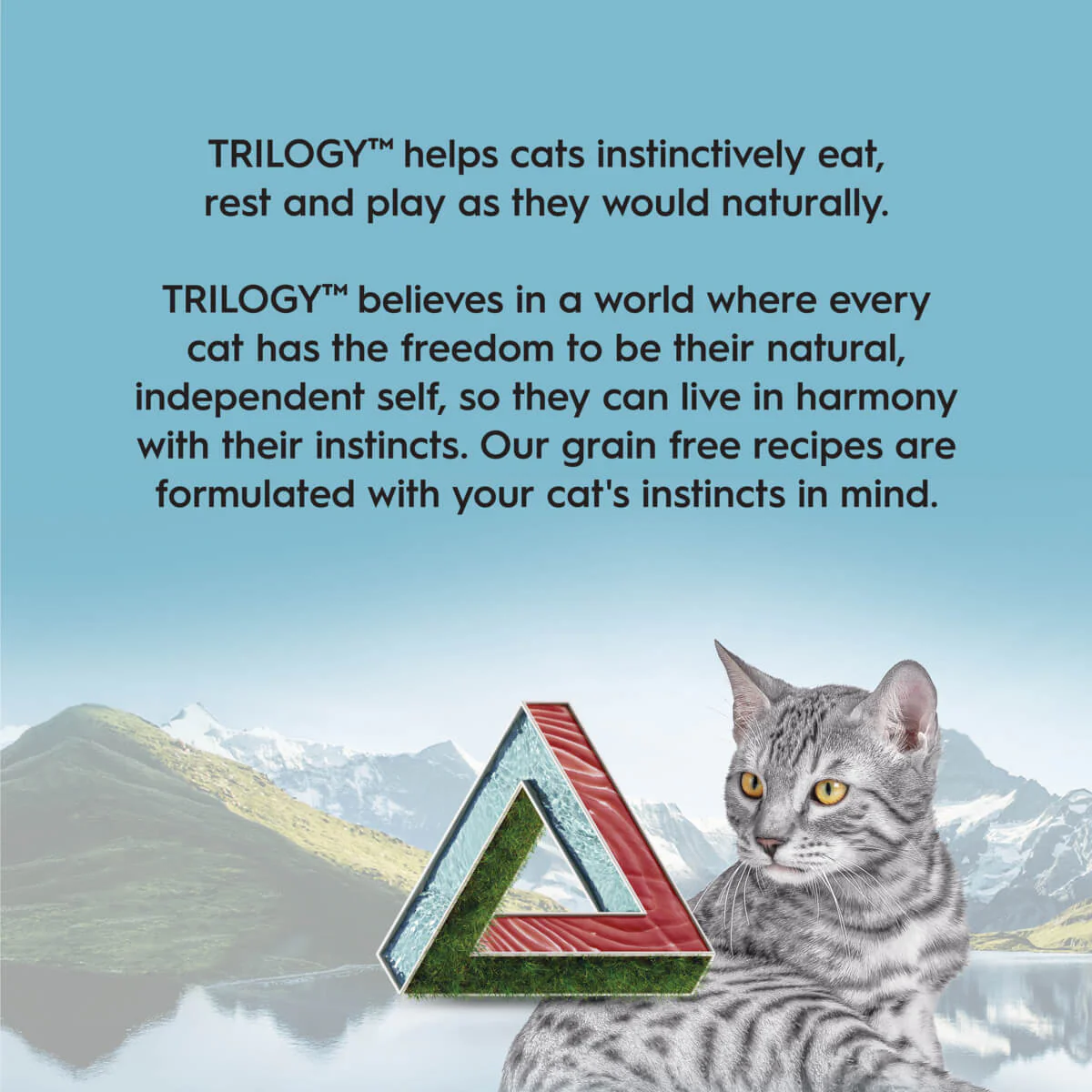 Trilogy Adult Wild Caught Tuna in Bone Broth Wet Cat Food - Image 10
