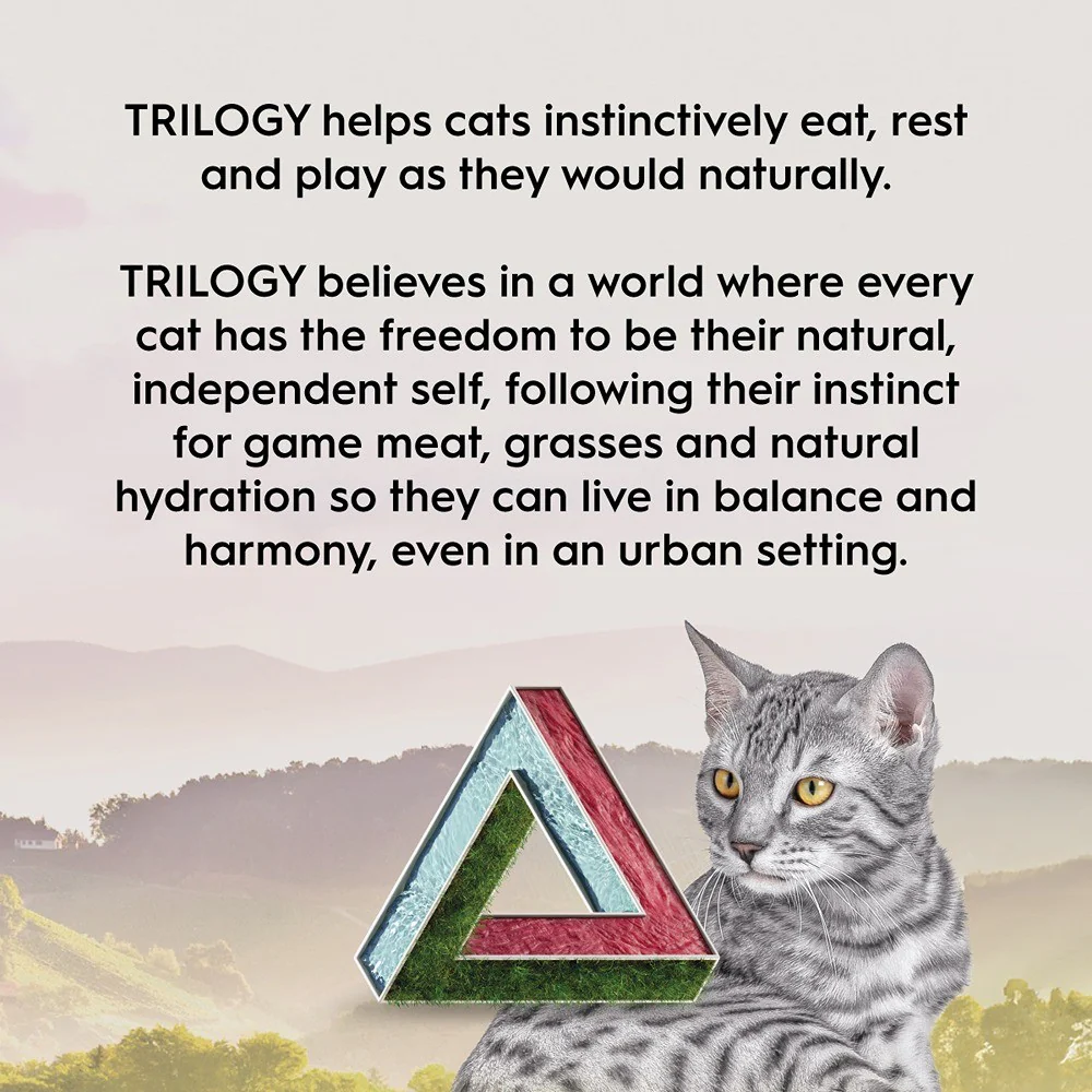 Trilogy Adult Australian Beef & Freeze Dried Lamb Dry Cat Food - Image 3