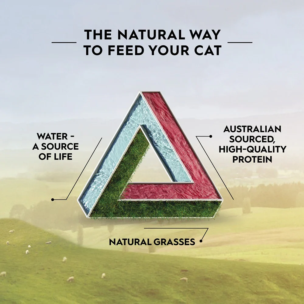 Trilogy Adult Australian Beef & Freeze Dried Lamb Dry Cat Food - Image 8