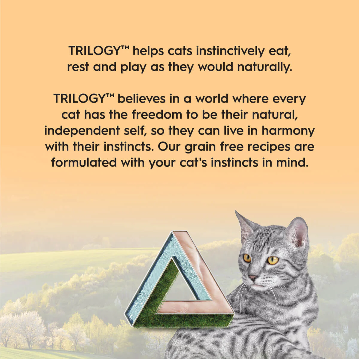 Trilogy Kitten Chicken in Bone Broth Wet Cat Food - Image 18
