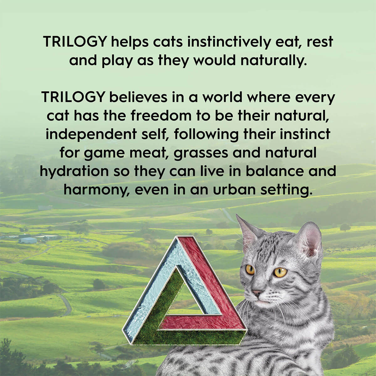 Trilogy Freeze Dried Lamb Cat Treats - Image 8
