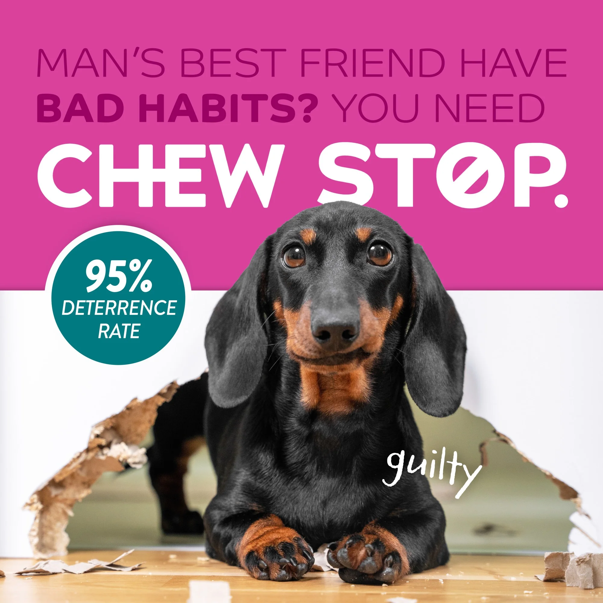 TropiClean Behaviour Chew Stop Spray for Dogs - Image 4