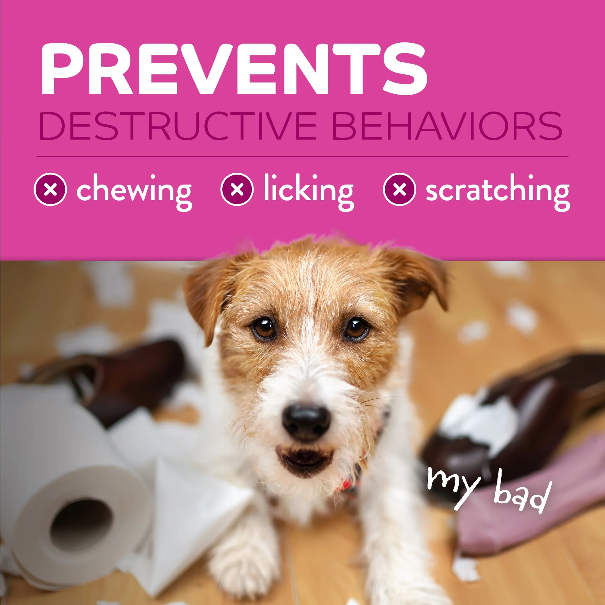 TropiClean Behaviour Chew Stop Spray for Dogs - Image 6
