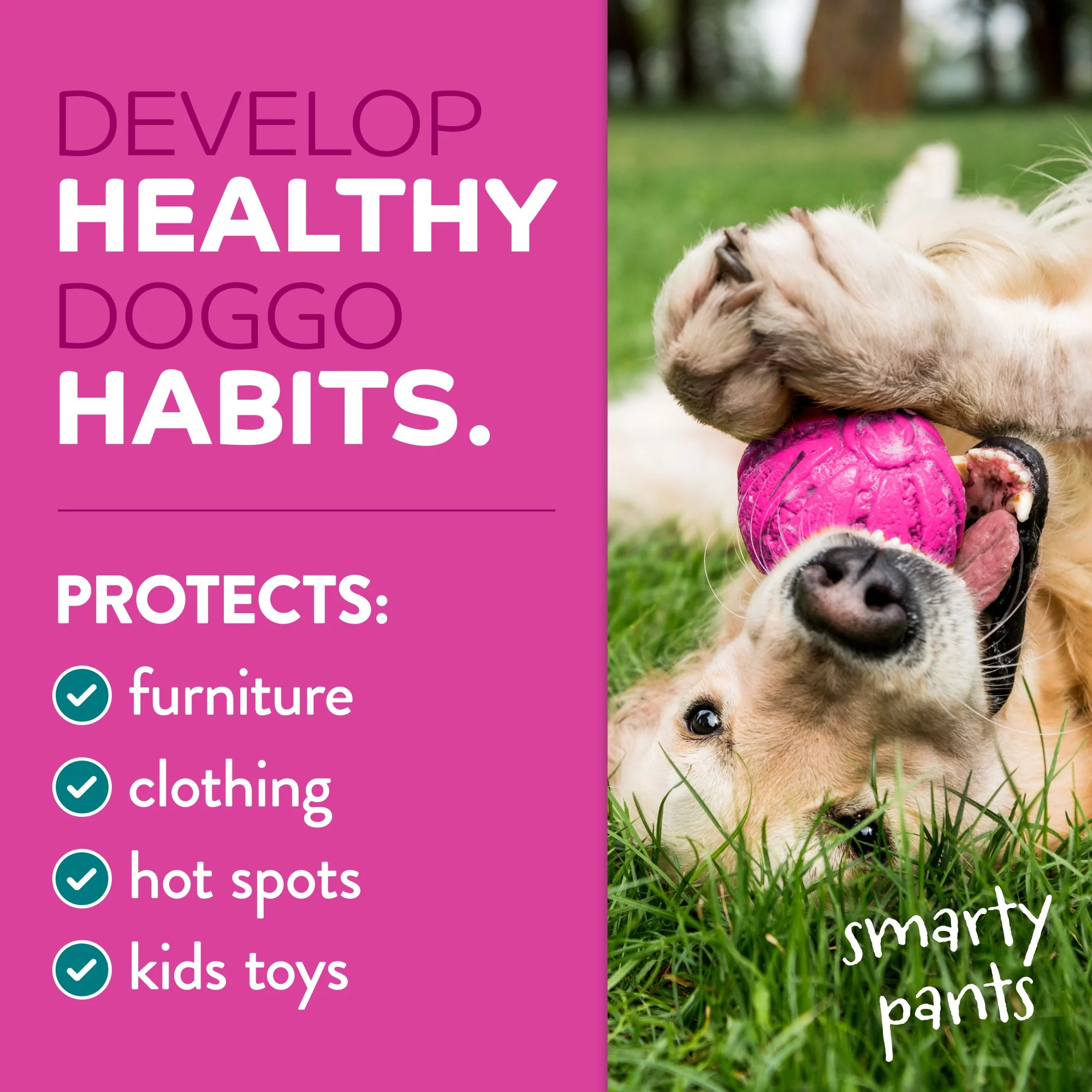 TropiClean Behaviour Chew Stop Spray for Dogs - Image 8