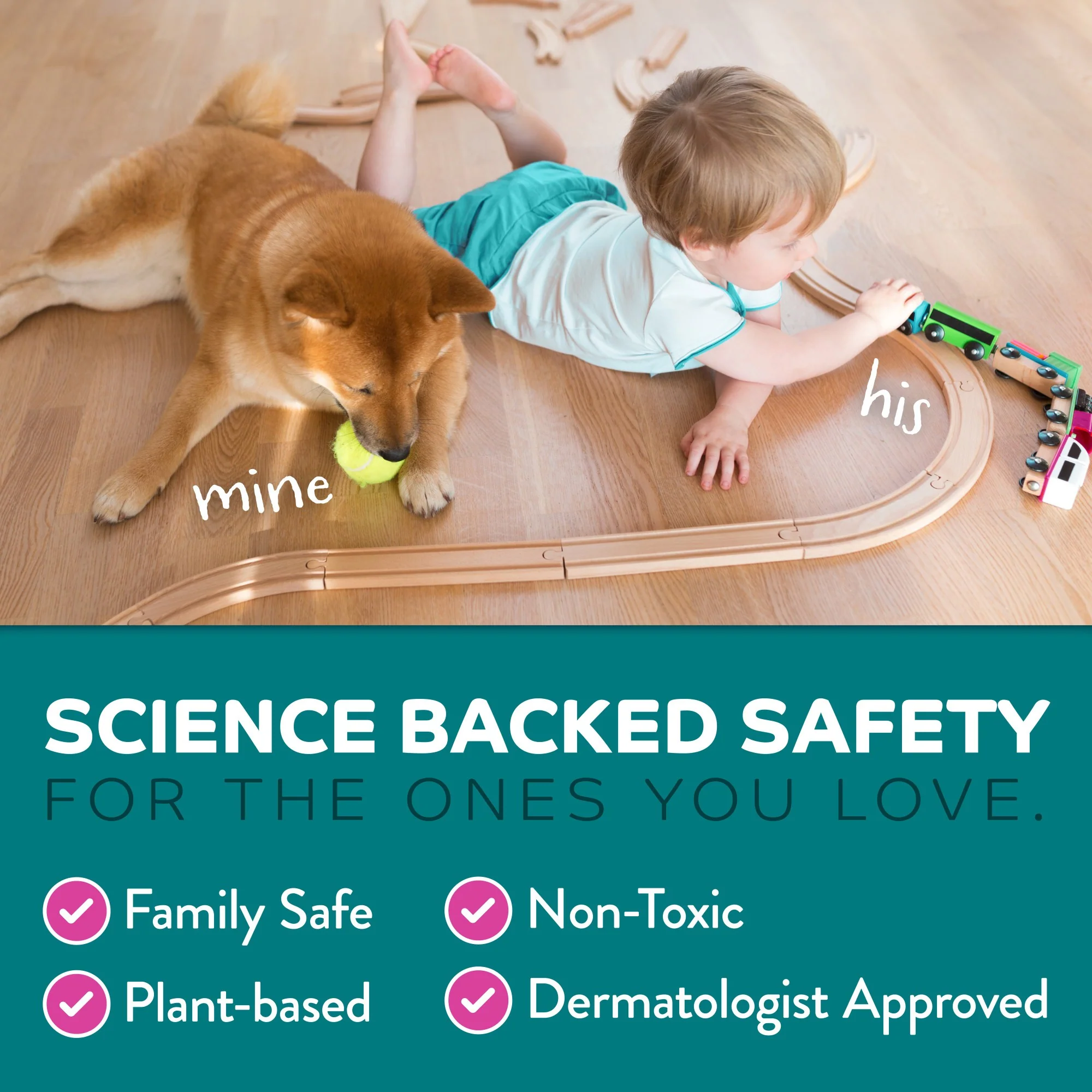 TropiClean Behaviour Chew Stop Spray for Dogs - Image 9