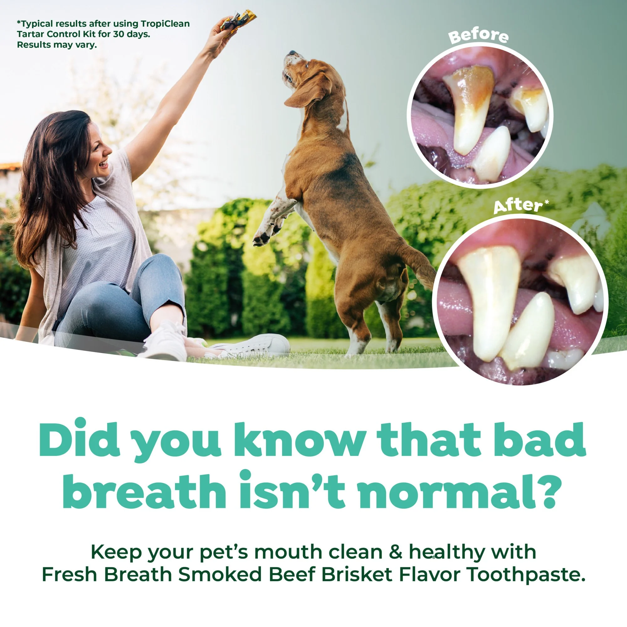 TropiClean Fresh Breath Enticers Smoked Beef Brisket Oral Care Kit for Dogs - Image 10