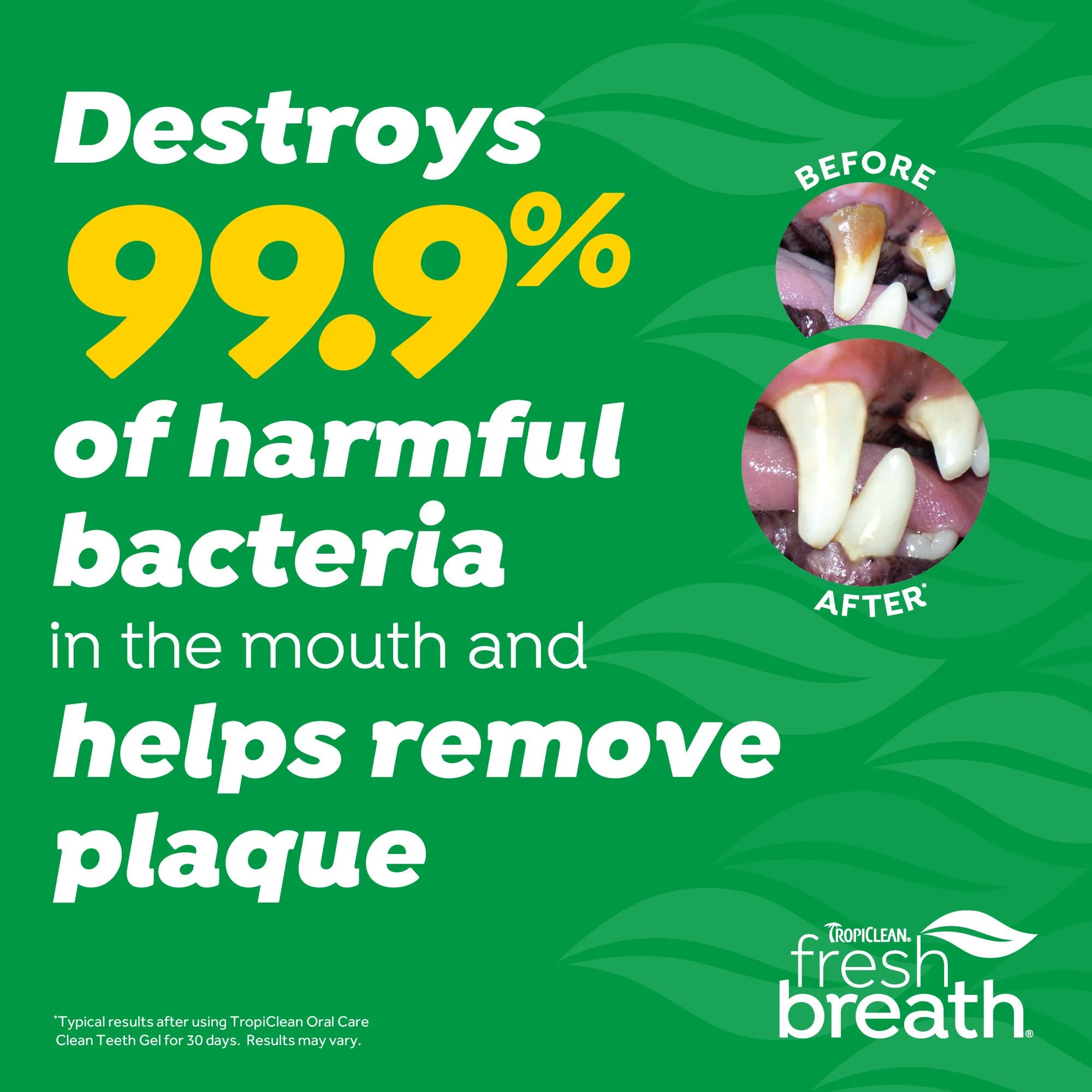 TropiClean Fresh Breath Enticers Smoked Beef Brisket Oral Care Kit for Dogs - Image 3