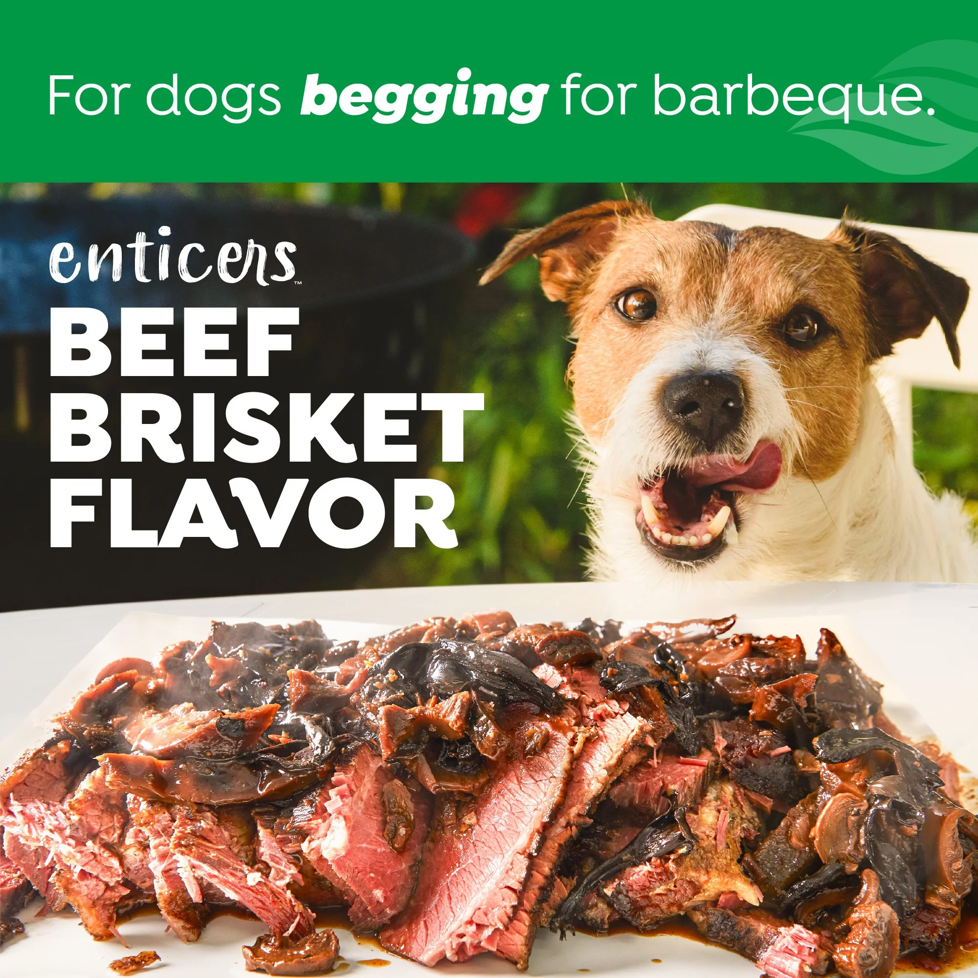 TropiClean Fresh Breath Enticers Smoked Beef Brisket Oral Care Kit for Dogs - Image 5