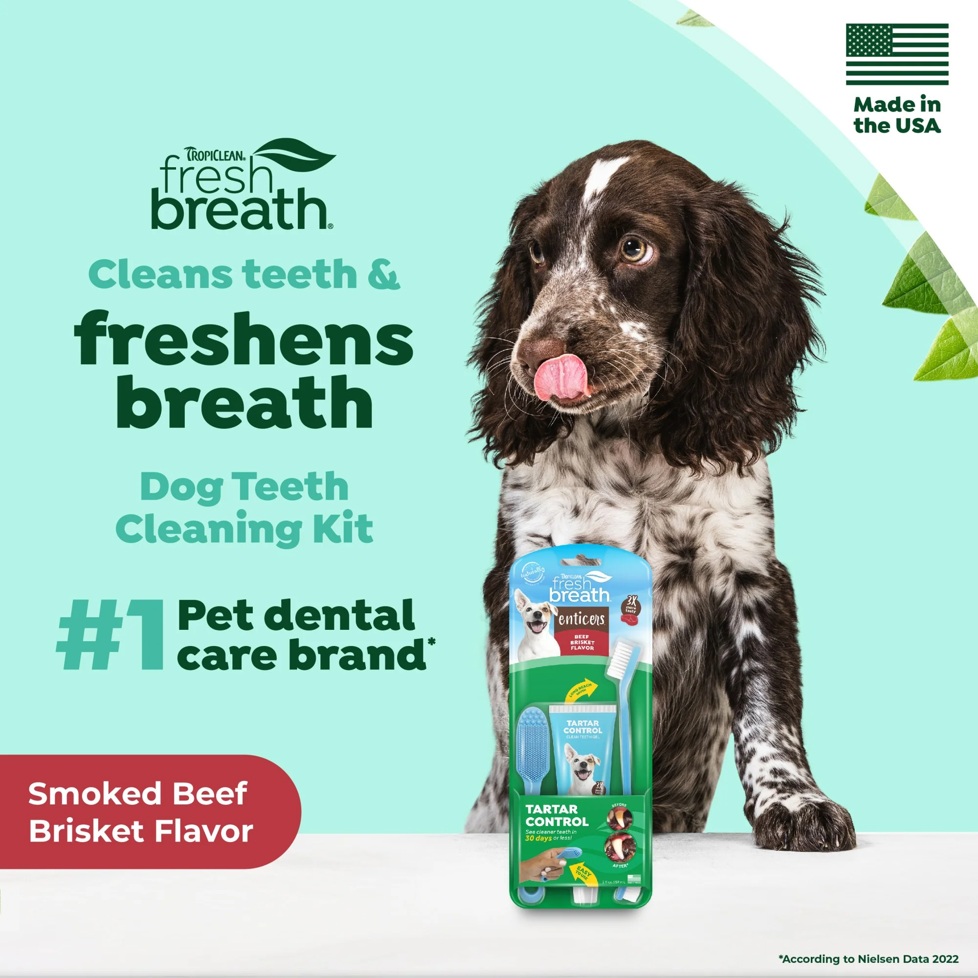 TropiClean Fresh Breath Enticers Smoked Beef Brisket Oral Care Kit for Dogs - Image 9