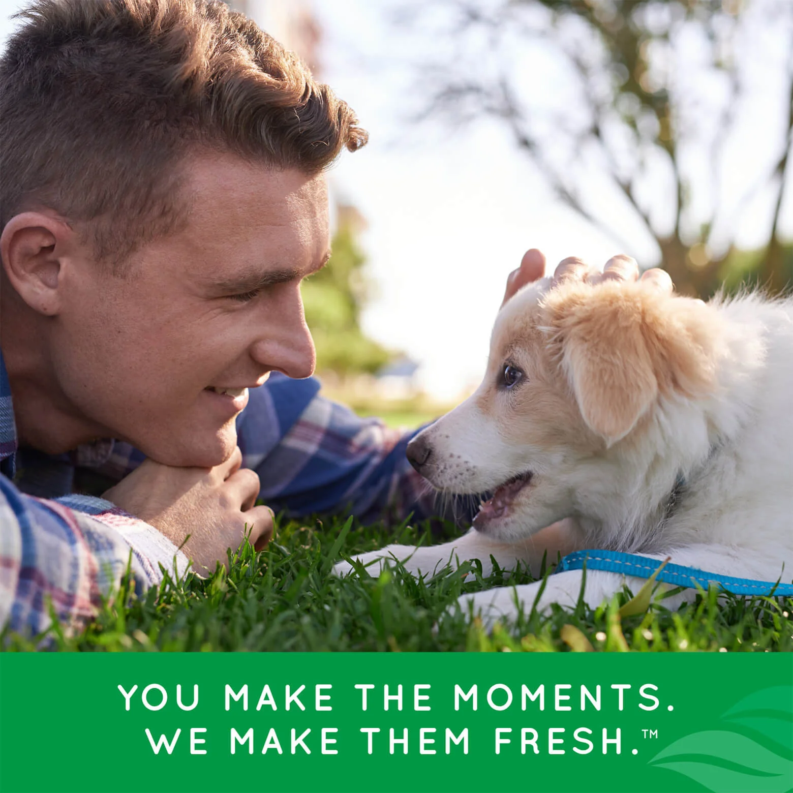 Tropiclean Fresh Breath Oral Care Kit for Puppies - Image 22