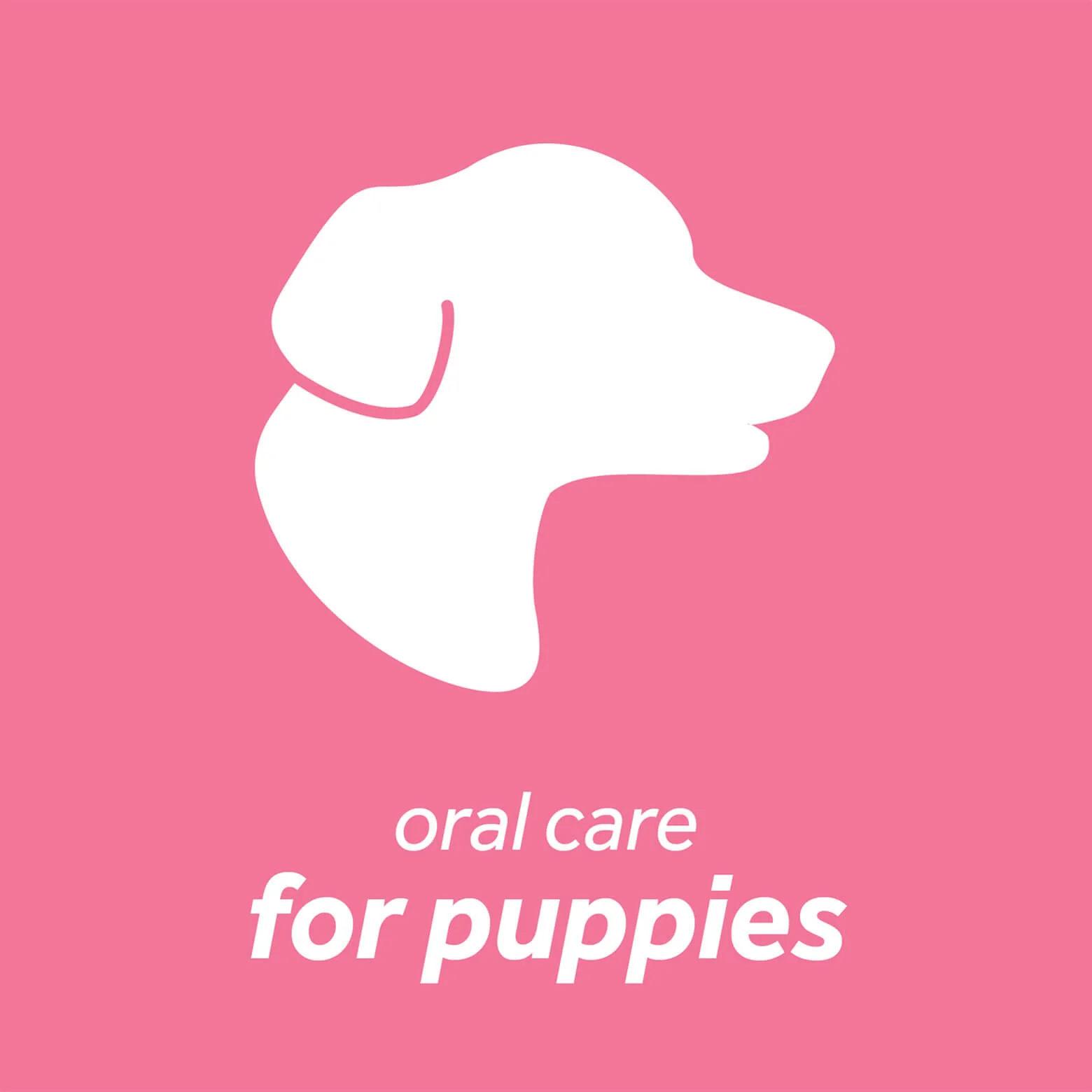 Tropiclean Fresh Breath Oral Care Kit for Puppies - Image 4