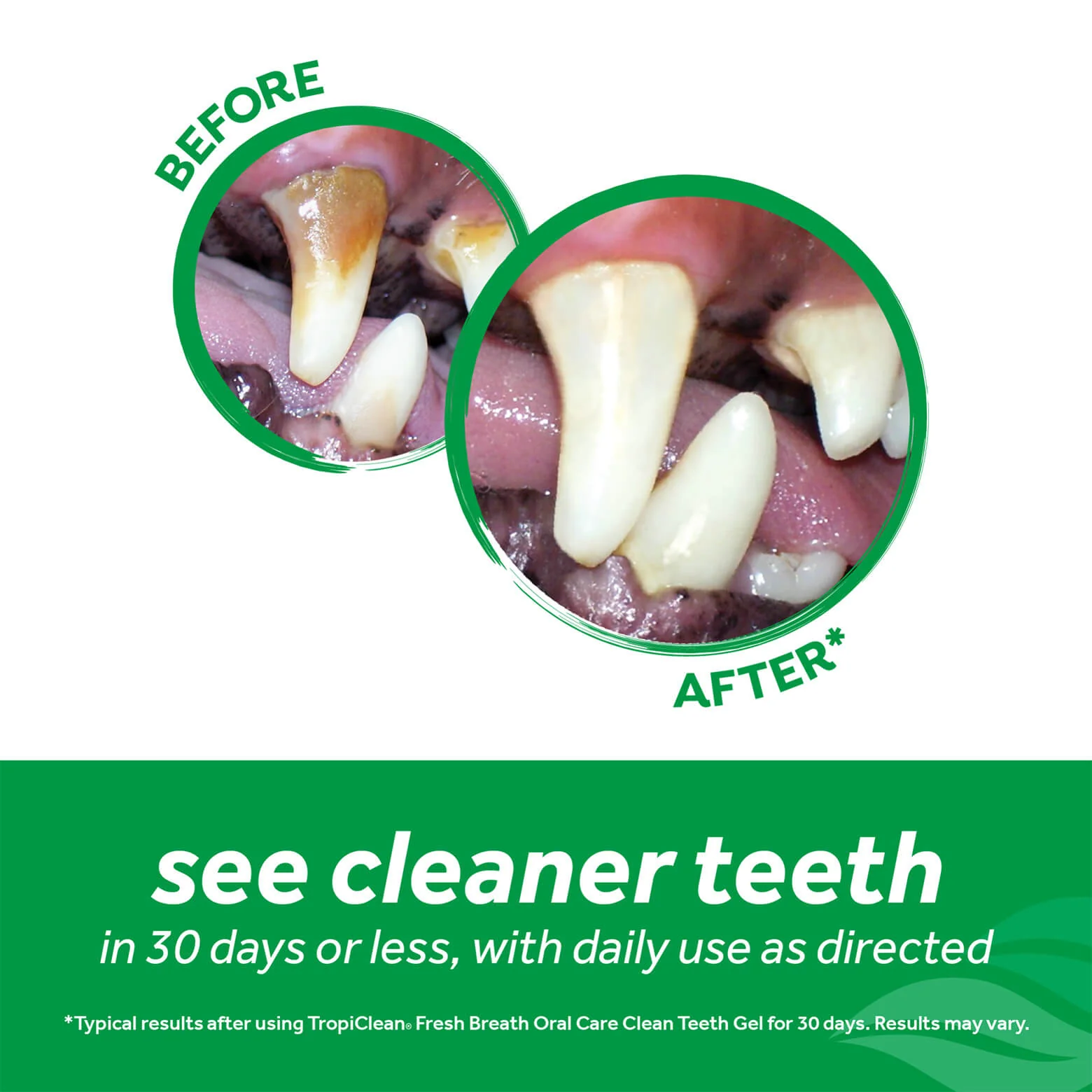 Tropiclean Fresh Breath Oral Care Kit for Puppies - Image 7