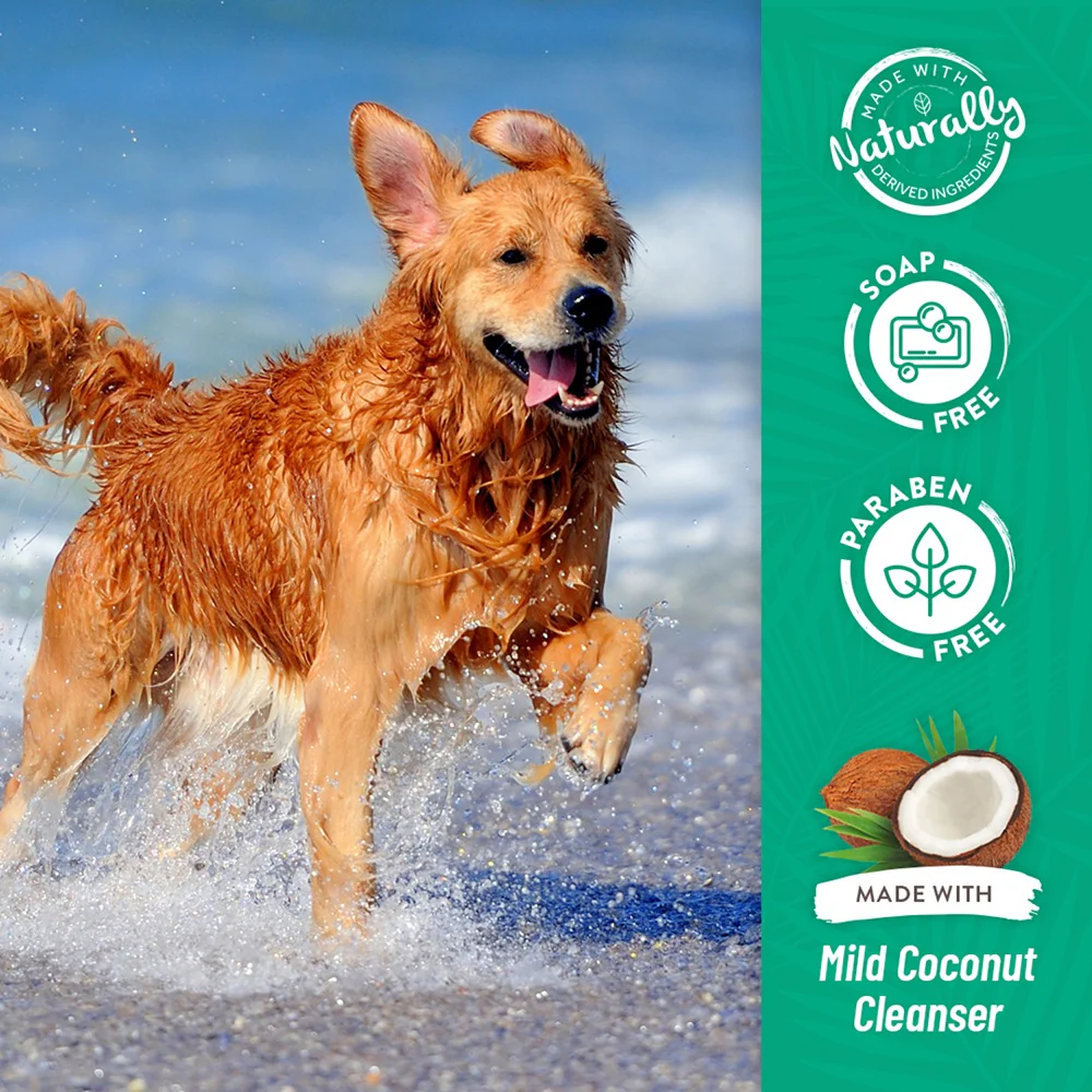 TropiClean Lime & Coconut Shed Control Shampoo 355mL - Image 5