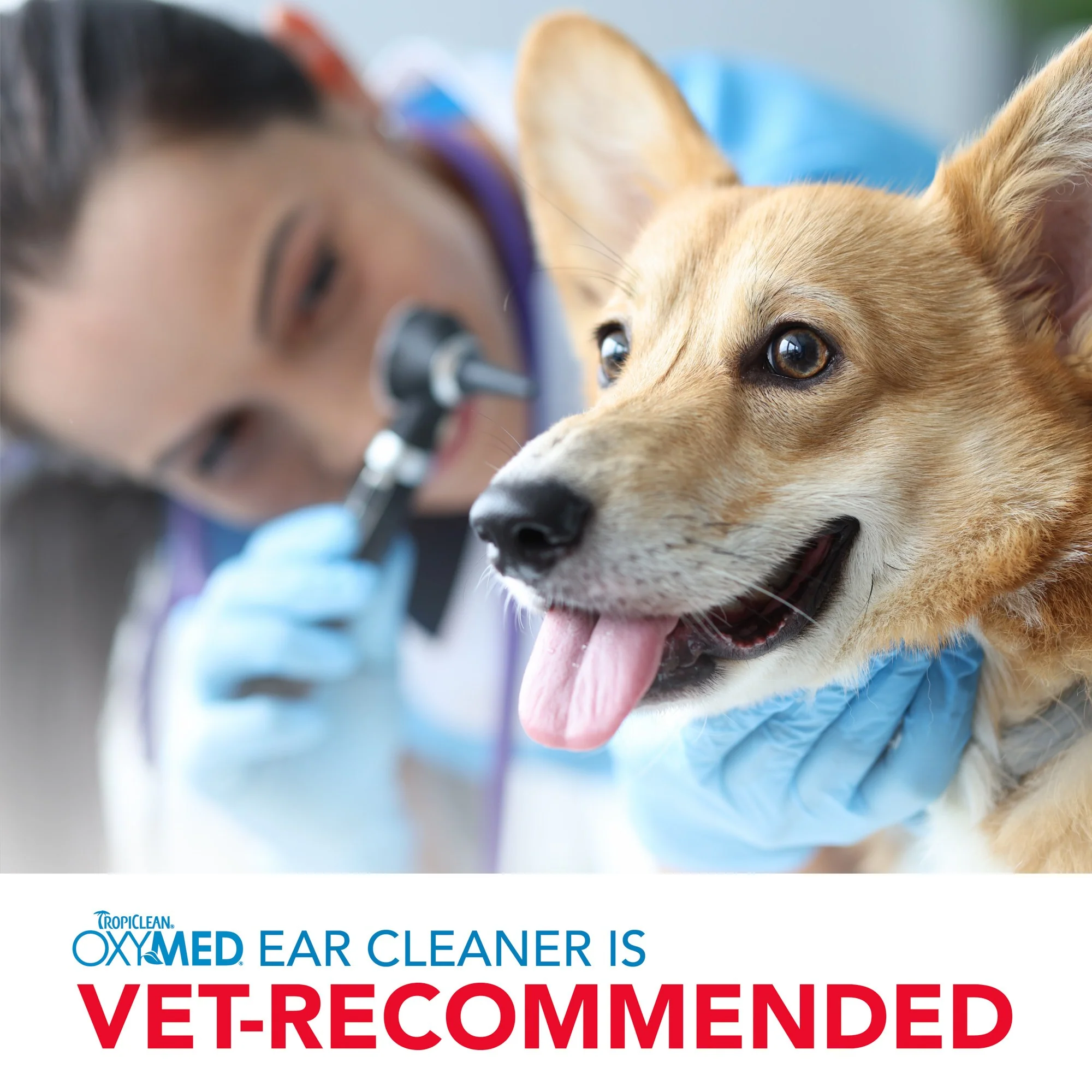 TropiClean OxyMed Ear Cleaner for Pets - Image 3