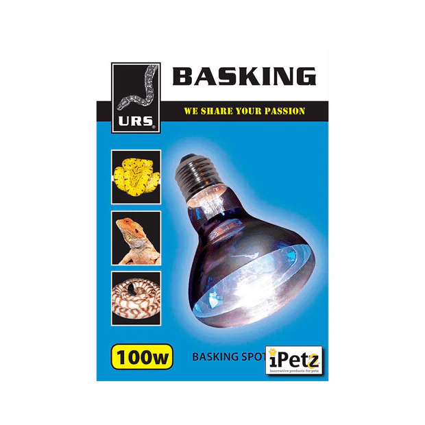 URS - Basking Spot Globe - Image 3