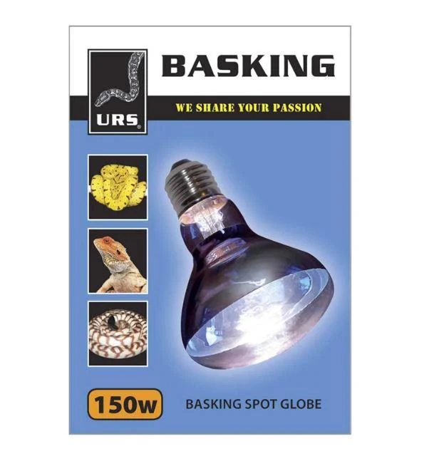 URS - Basking Spot Globe - Image 5