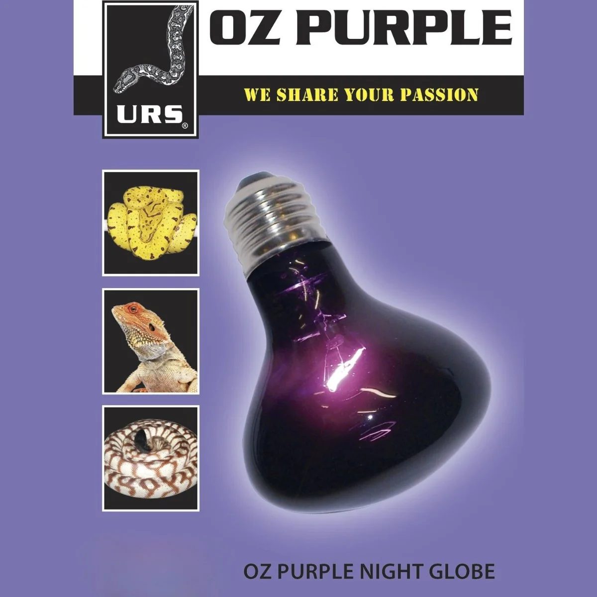 URS - Oz Purple Night Globe - Image 2