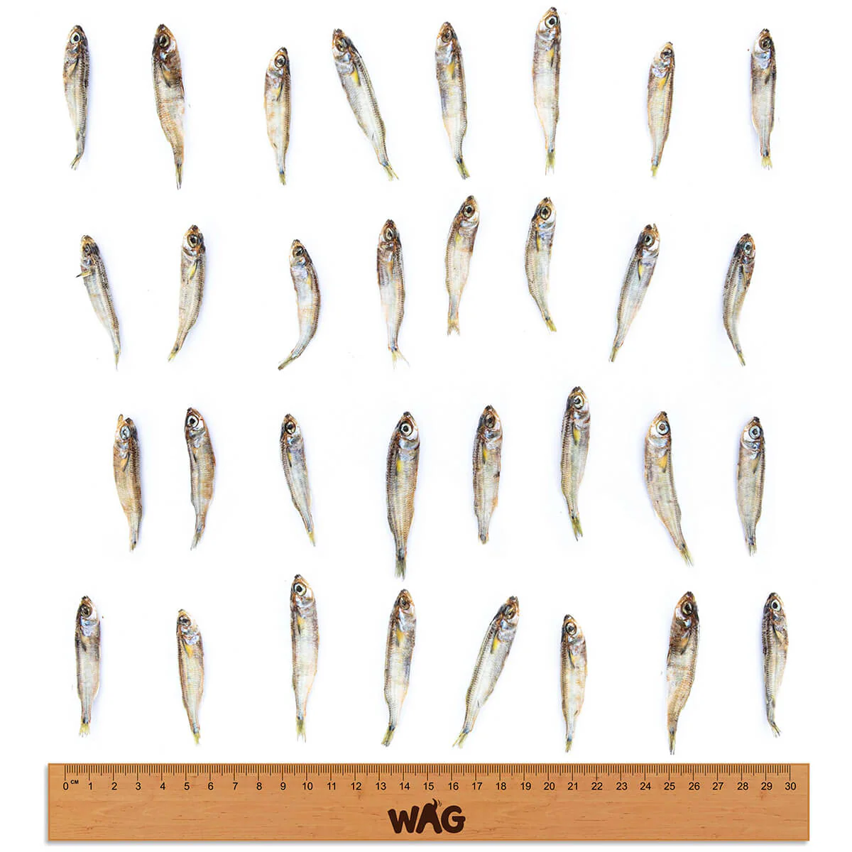 WAG Forage Fish Dog Treats 200g - Image 6