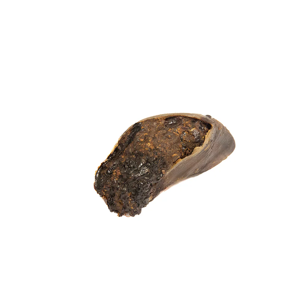 Wholesome Hound Roo & Peanut Butter Filled Beef Hoof - Image 2
