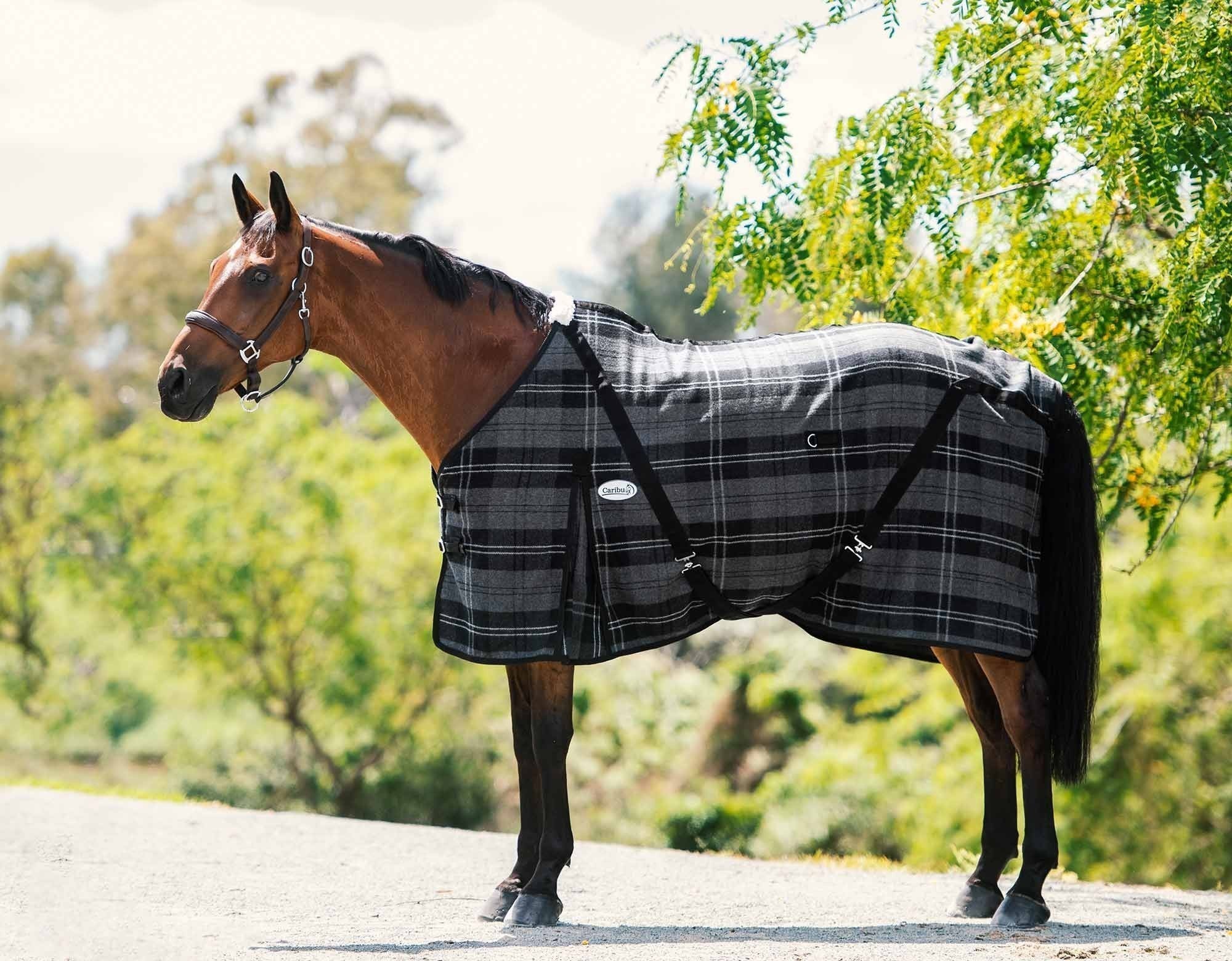 Caribu Horse Wool Rug - Image 15