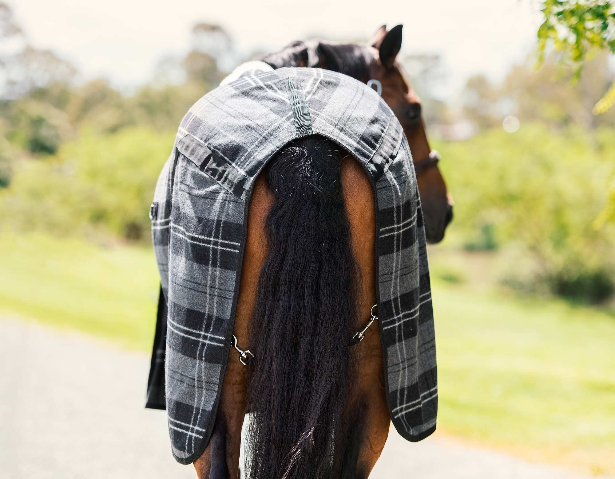 Caribu Horse Wool Rug - Image 56