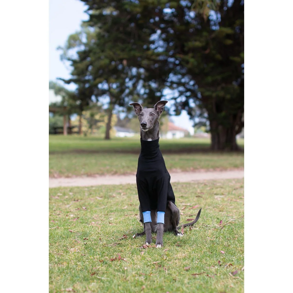 Wriggley Diggley All Day Long Dog Jumper Black/Blue - Image 4