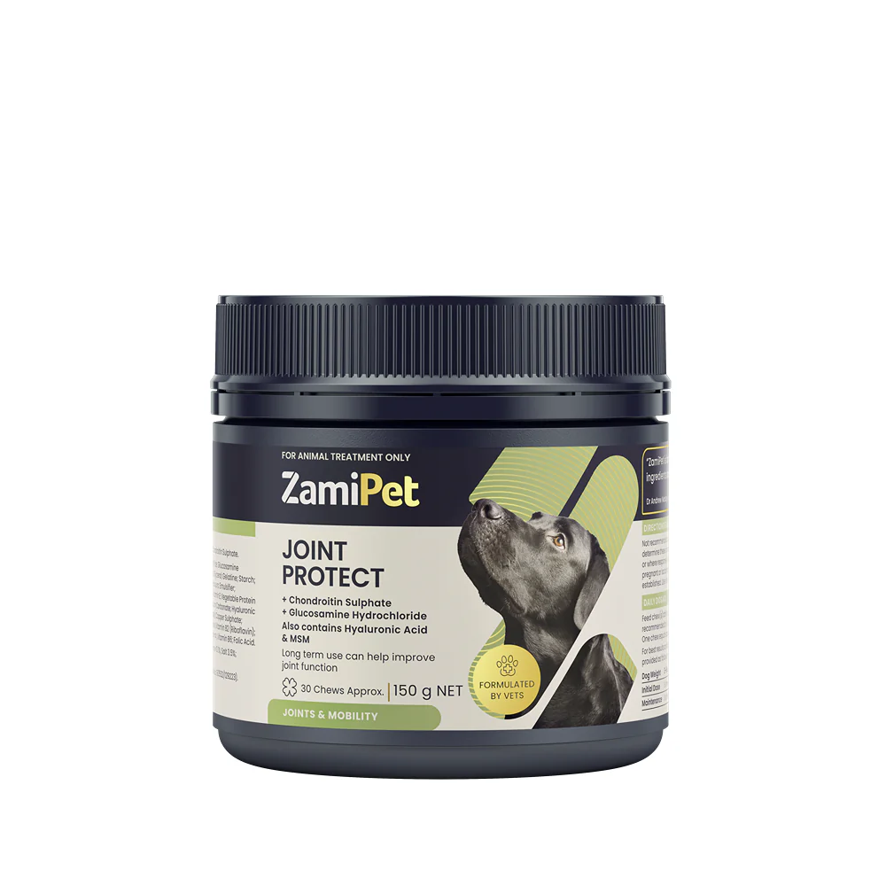 ZamiPet Joint Protect Supplement for Dogs - Image 20
