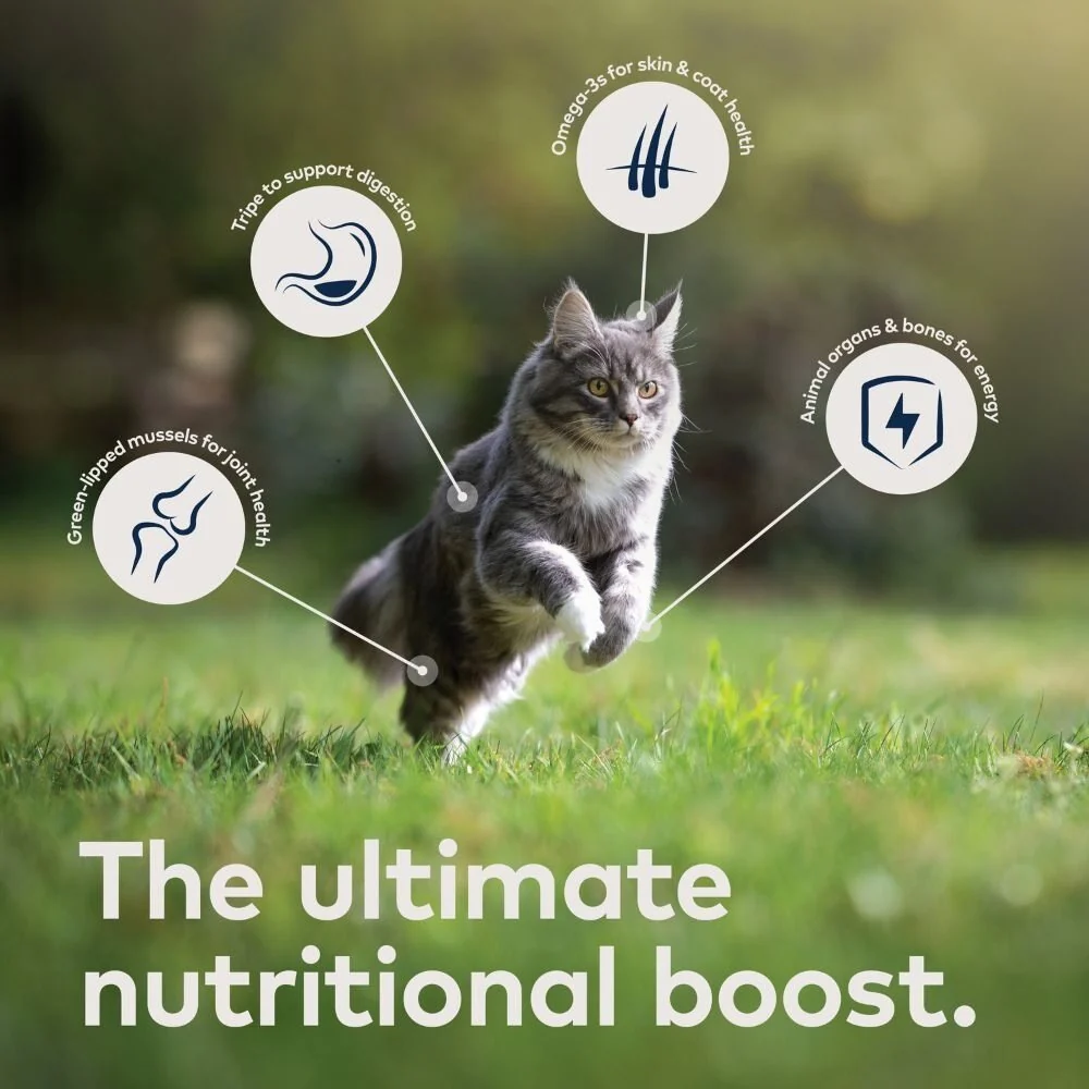 Ziwi Peak Mackerel Recipe Wet Cat Food - Image 24