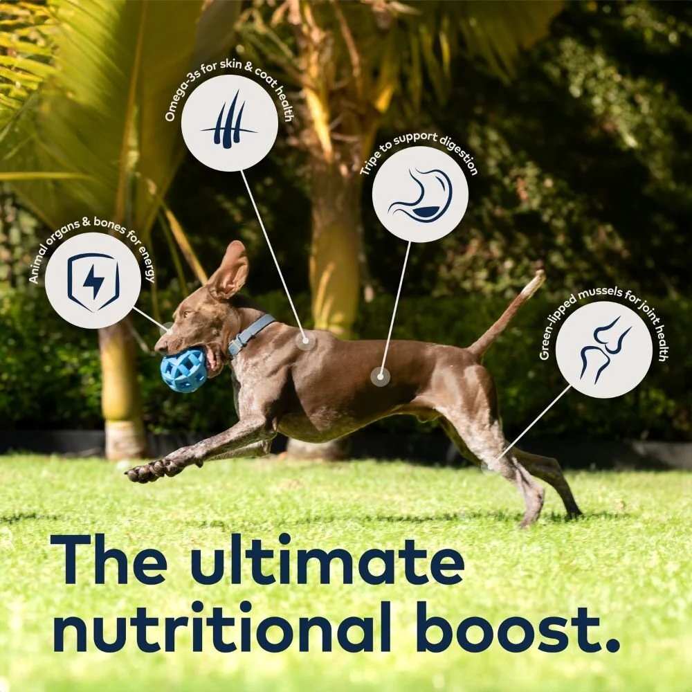 Ziwi Peak Tripe & Lamb Recipe Wet Dog Food - Image 19