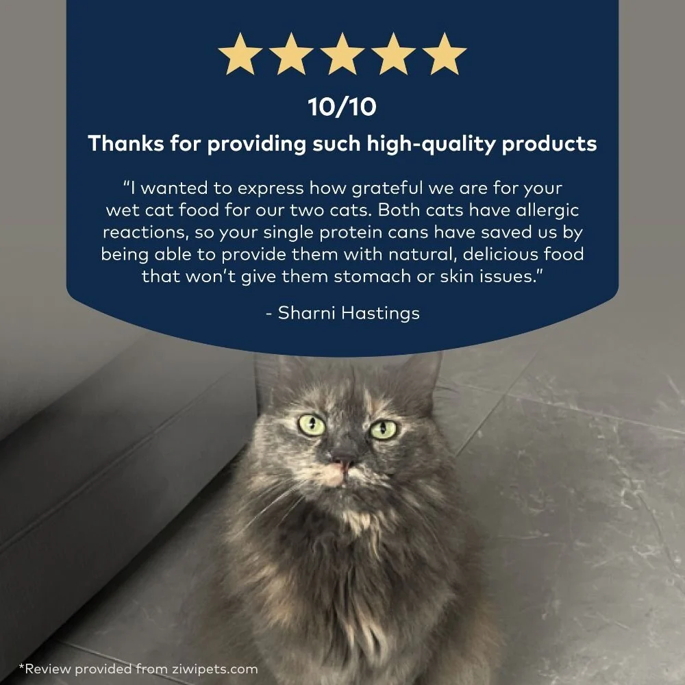 Ziwi Peak Mackerel & Lamb Recipe Wet Cat Food - Image 18