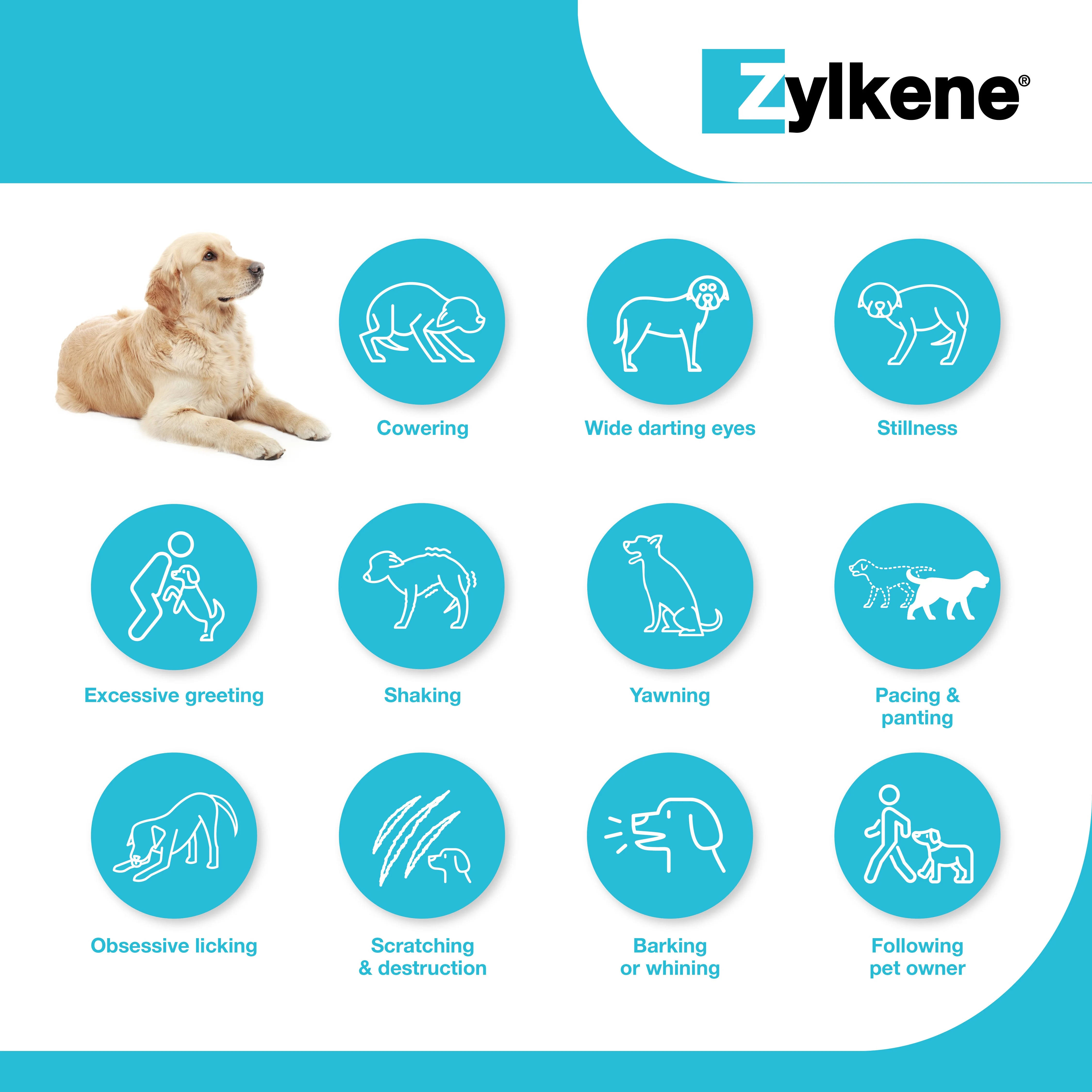 Zylkene Capsules 225mg For Dogs 10-30kg 30pk - Image 6