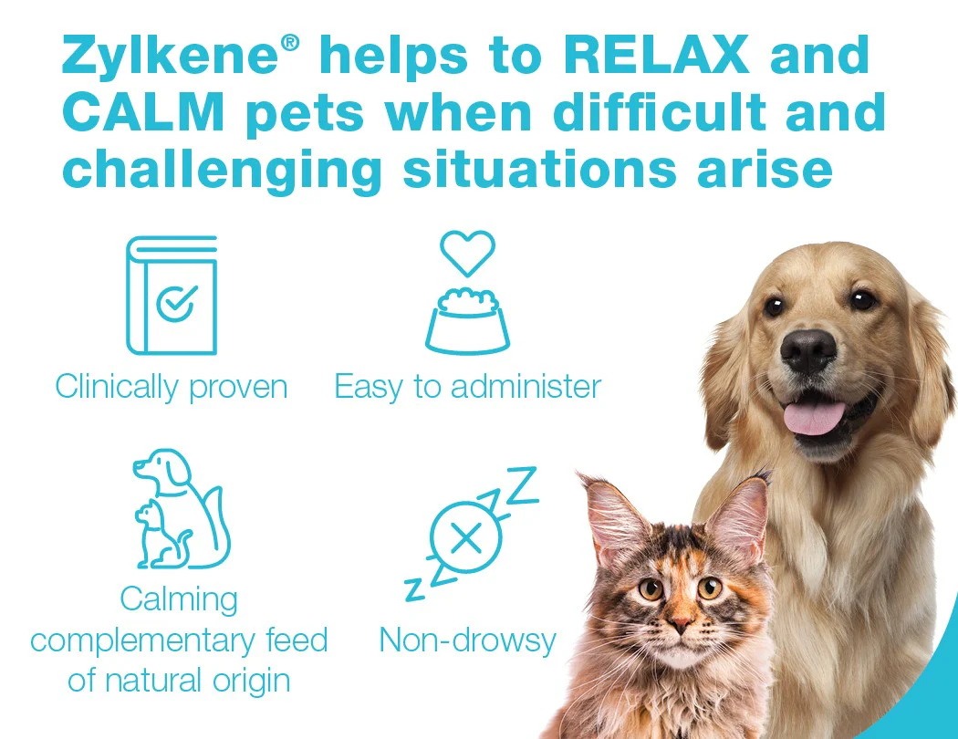 ZYLKENE Chews Puppies & Dogs 10-30kgs 225mg - Image 7